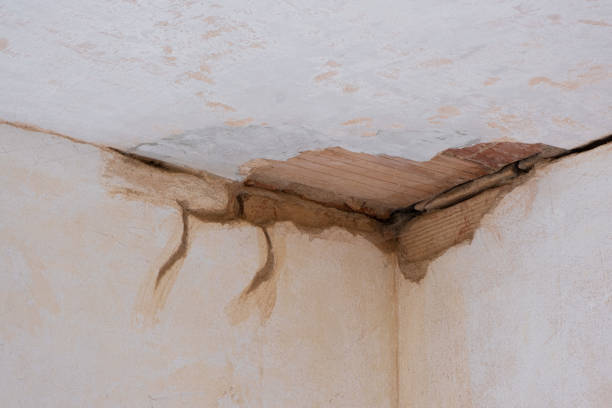 Best Local water damage restoration  in Gruetli Laager, TN
