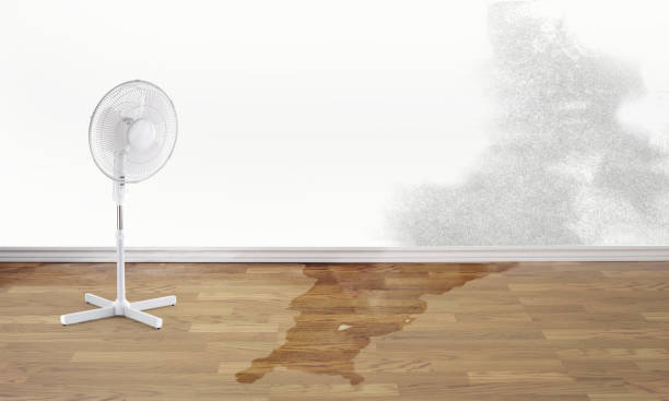 Best 24/7 water damage repair  in Gruetli Laager, TN