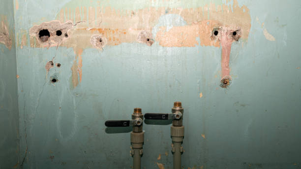 Best Professional water damage repair  in Gruetli Laager, TN