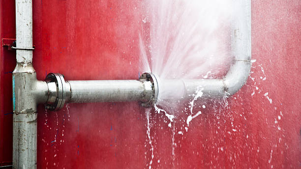 Best Water damage restoration near me  in Gruetli Laager, TN